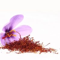 la fleur avec des brindille de safran, un épice qui améliore la sexualité
